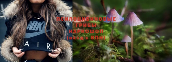 спайс Киренск
