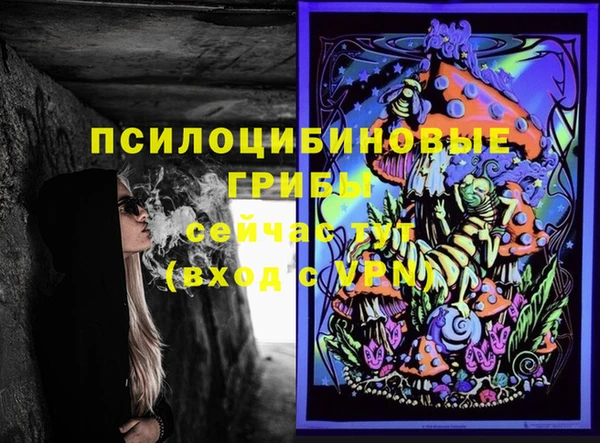 стафф Кодинск